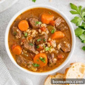 Beef barley soup in a white bowl.