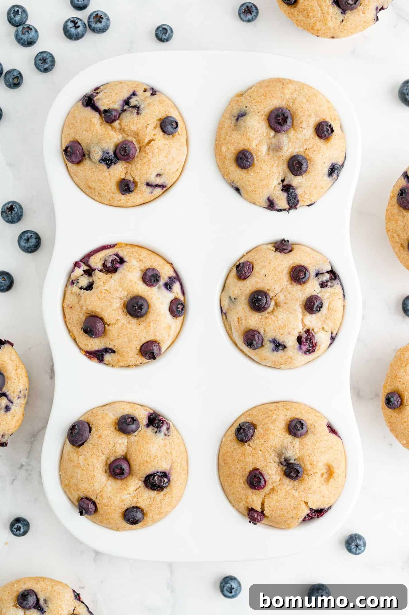 Freshly baked blueberry muffins, golden brown and puffed up, cooling in their muffin tin after being removed from the oven.