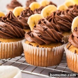 Luscious banana cupcakes topped with rich chocolate frosting and delicate banana slices.