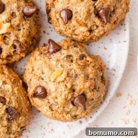 A delightful close-up of oatmeal cookies studded with chocolate chips, presented on a charming speckled white plate.