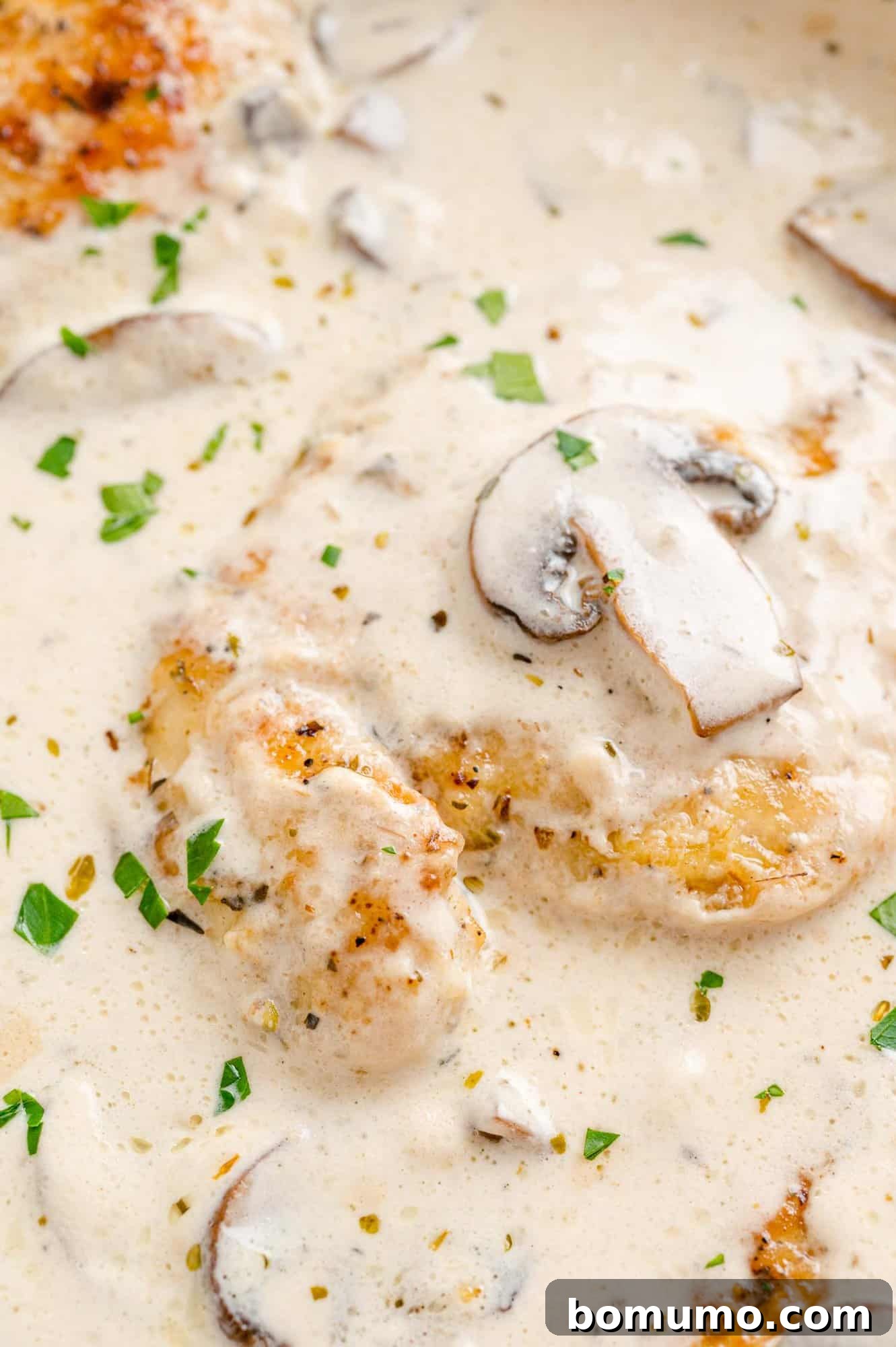 Close up of creamy chicken marsala garnished with vibrant chopped parsley, ready to be served.