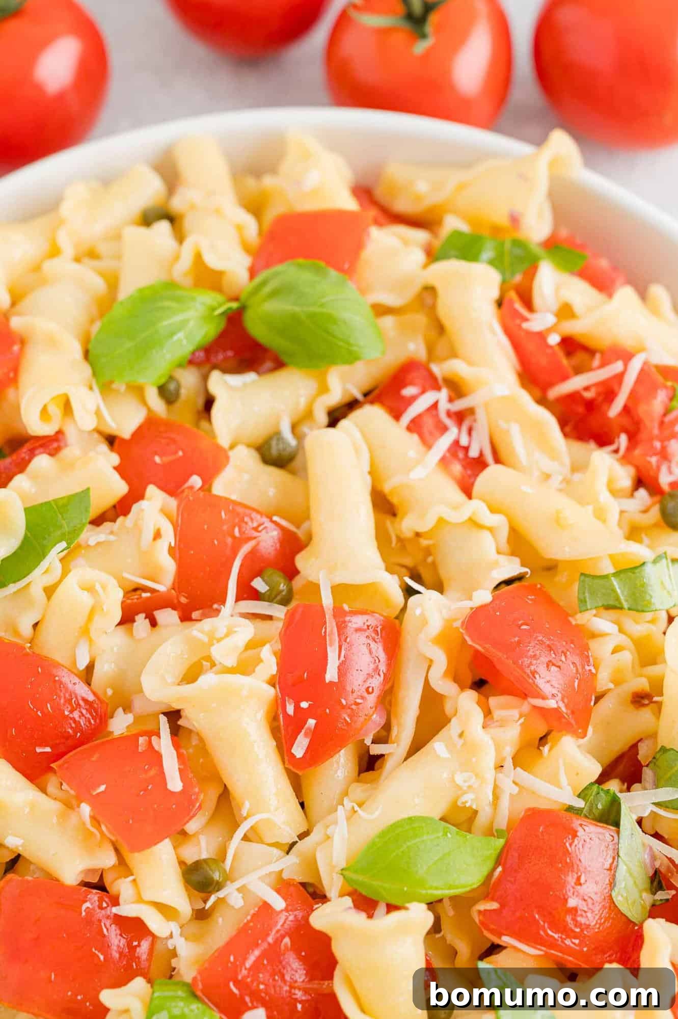 Close up view of a bowl of fresh tomato pasta.