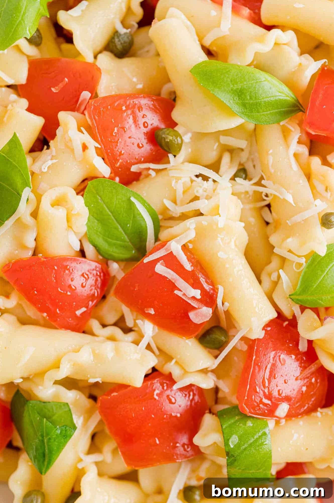 Close up view of fresh tomato pasta with basil leaves, parmesan, and capers.