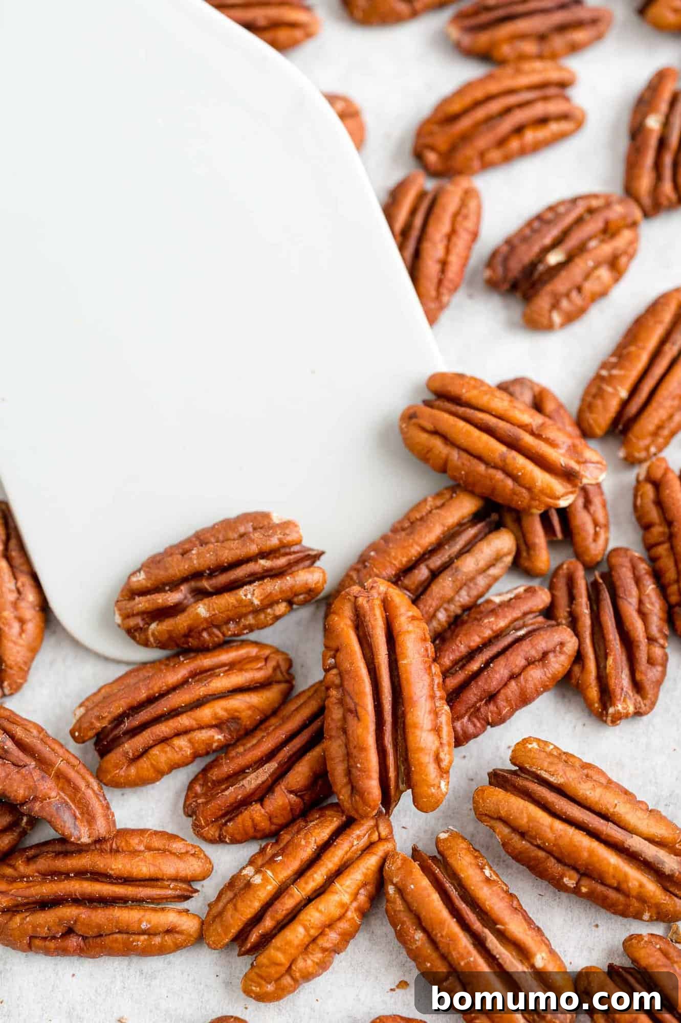 Crisp, golden-brown toasted pecans perfectly arranged on a spatula, ready to elevate any dish.