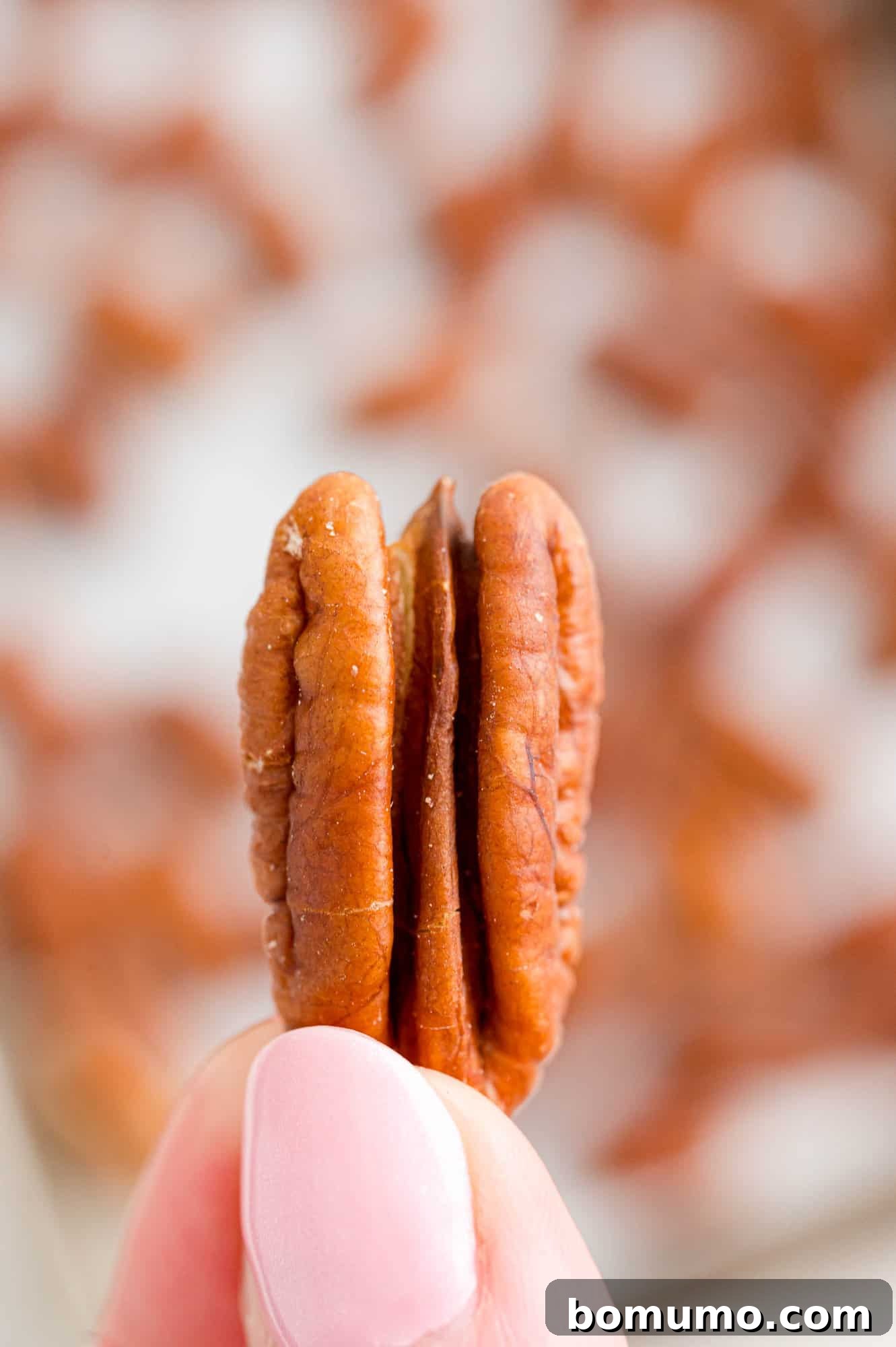 A single perfectly toasted pecan half held delicately in a hand, highlighting its golden-brown color and appealing texture.