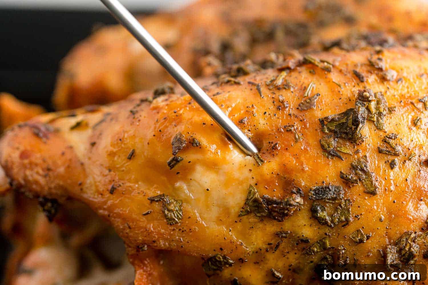 An instant-read thermometer being inserted into the thickest part of a roasted turkey breast to check its internal temperature, ensuring it's cooked safely.