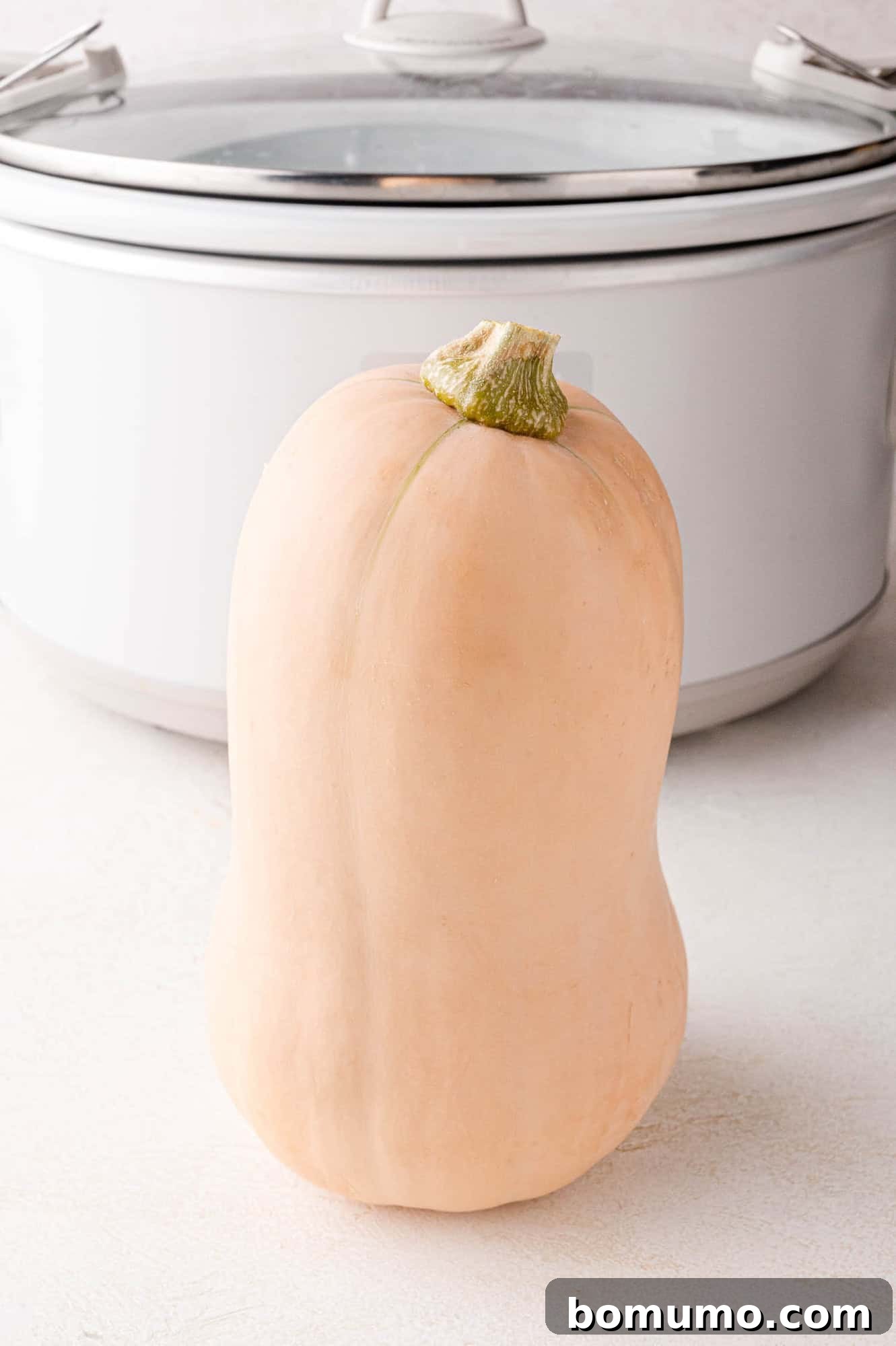 Unpeeled, whole butternut squash standing up in front of a white crockpot, ready for cooking.