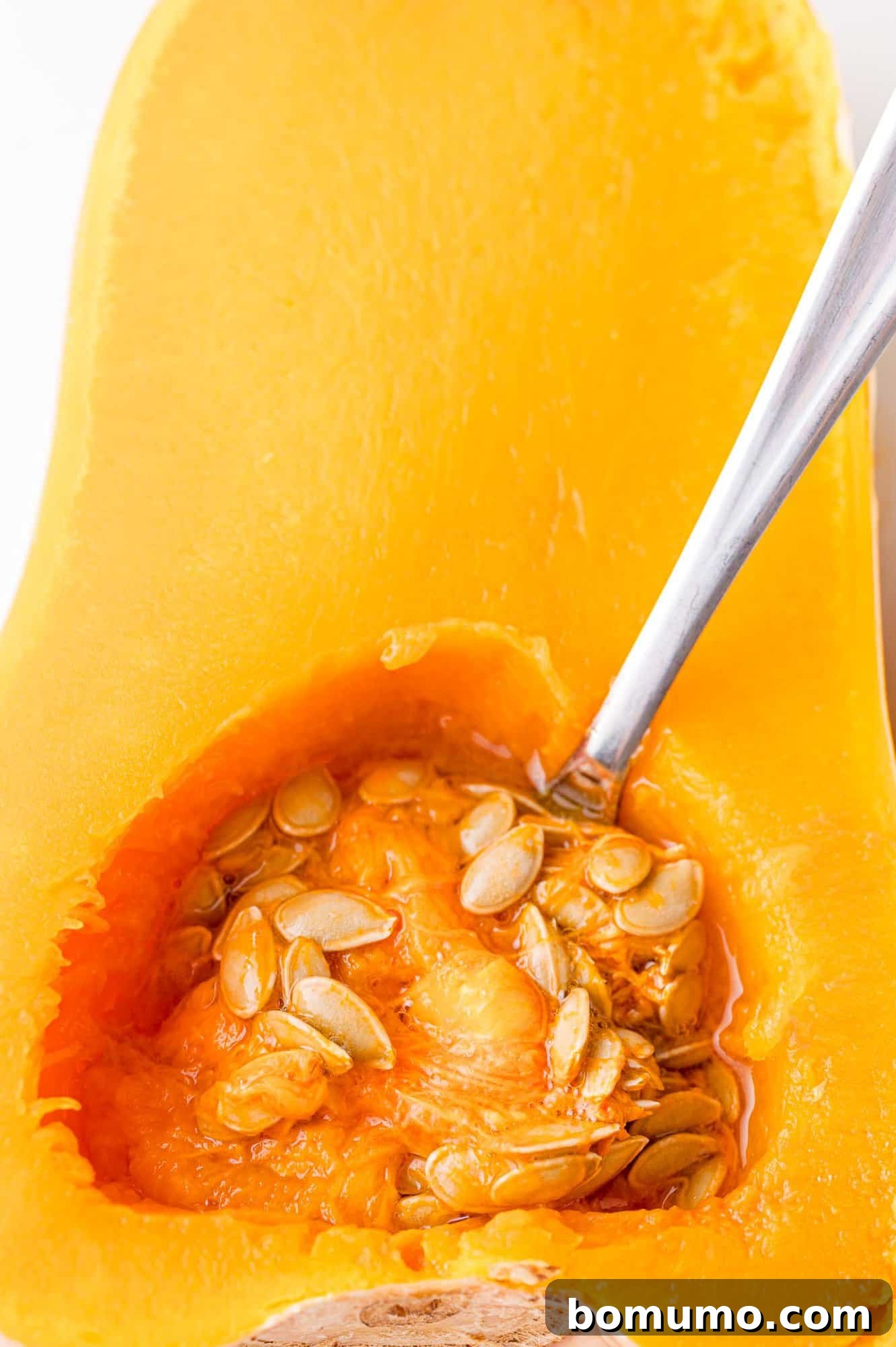 Seeds being scooped from the center of a halved butternut squash after cooking.
