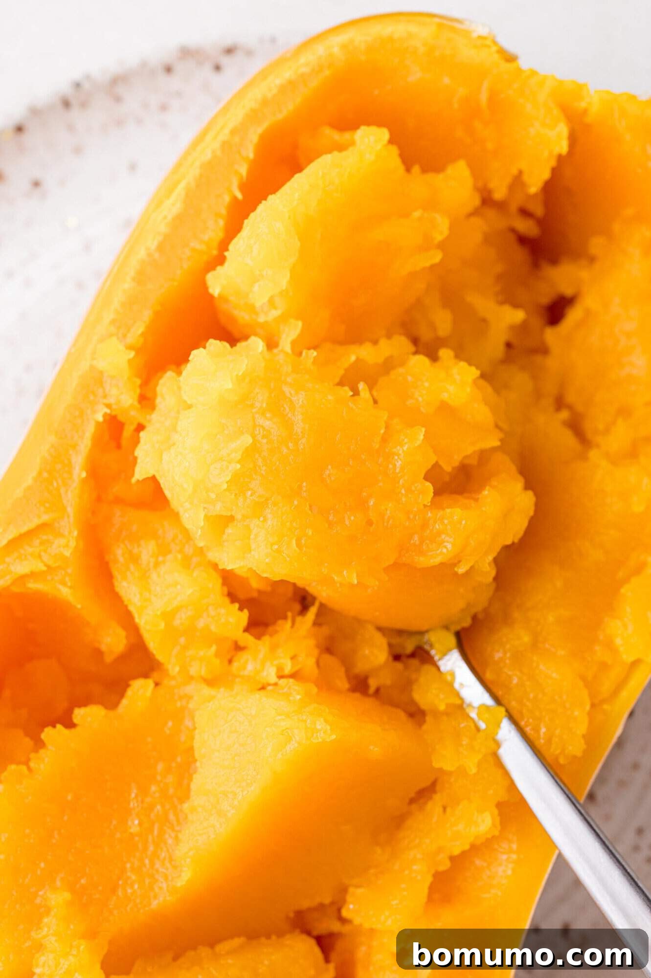 Tender flesh of the butternut squash being scooped out from its skin.