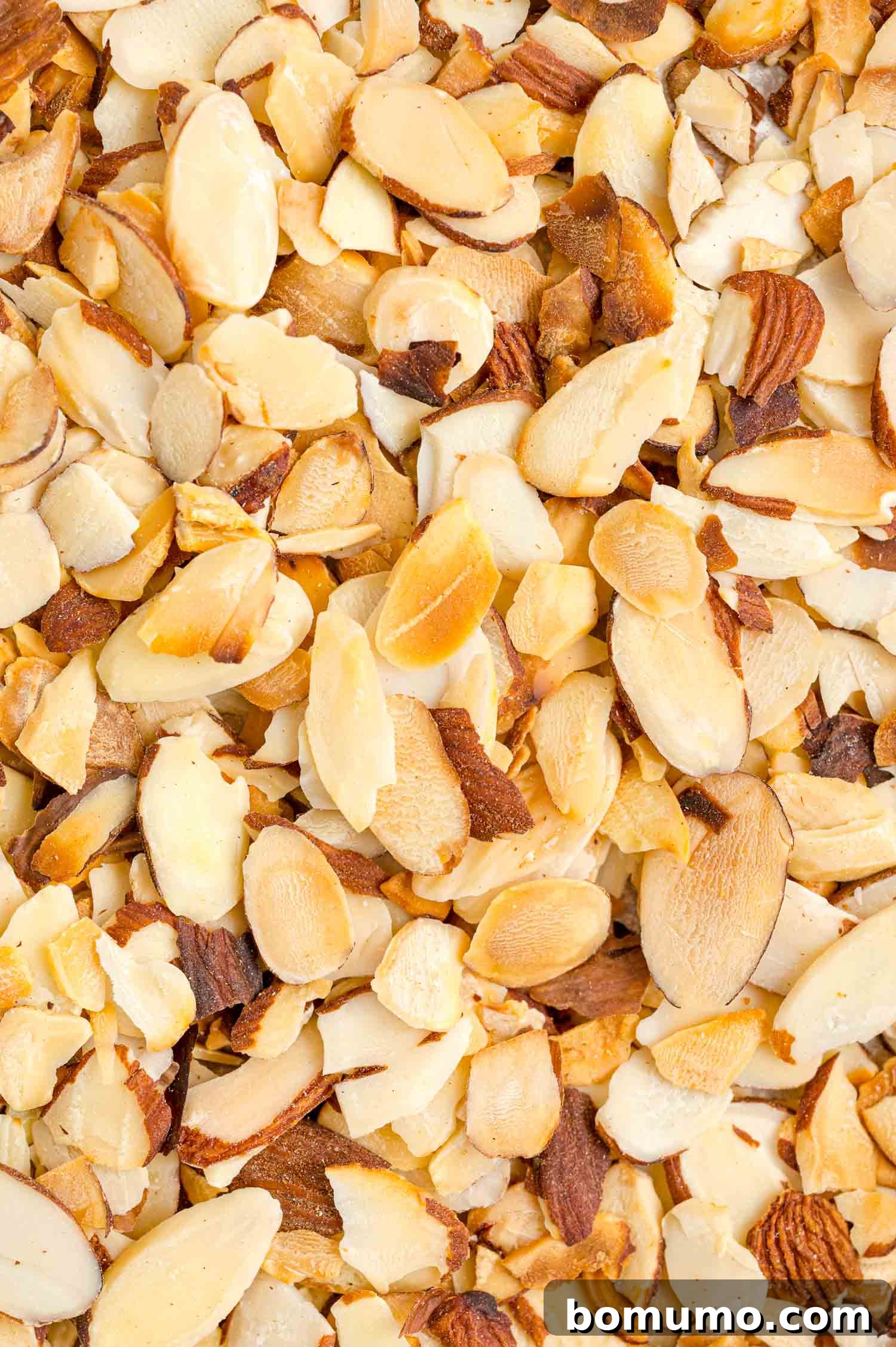 Toasting almonds is a great way to bring out their crunch and flavor. Learn how to toast almonds in the oven, microwave, and on the stovetop! Close up of toasted almonds.