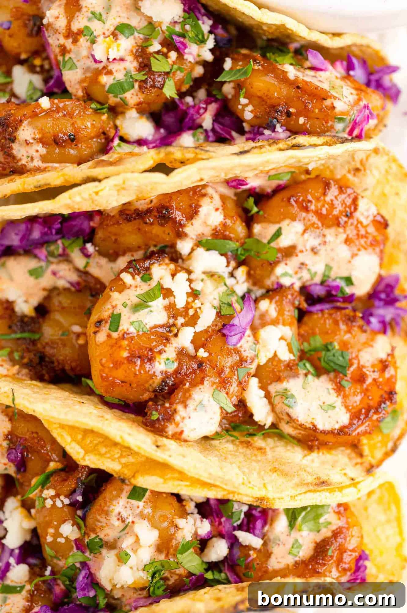 A close-up shot of a shrimp taco, showing the generous filling of shrimp, sauce, and cabbage.