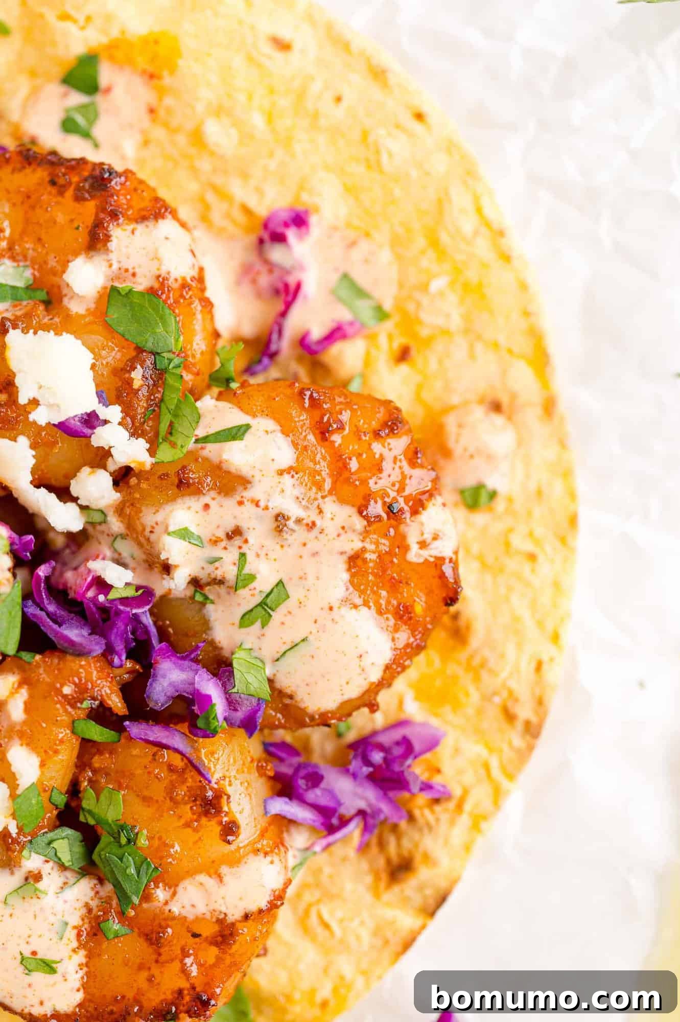 Close up view of perfectly cooked shrimp and creamy sauce on a warm corn tortilla.