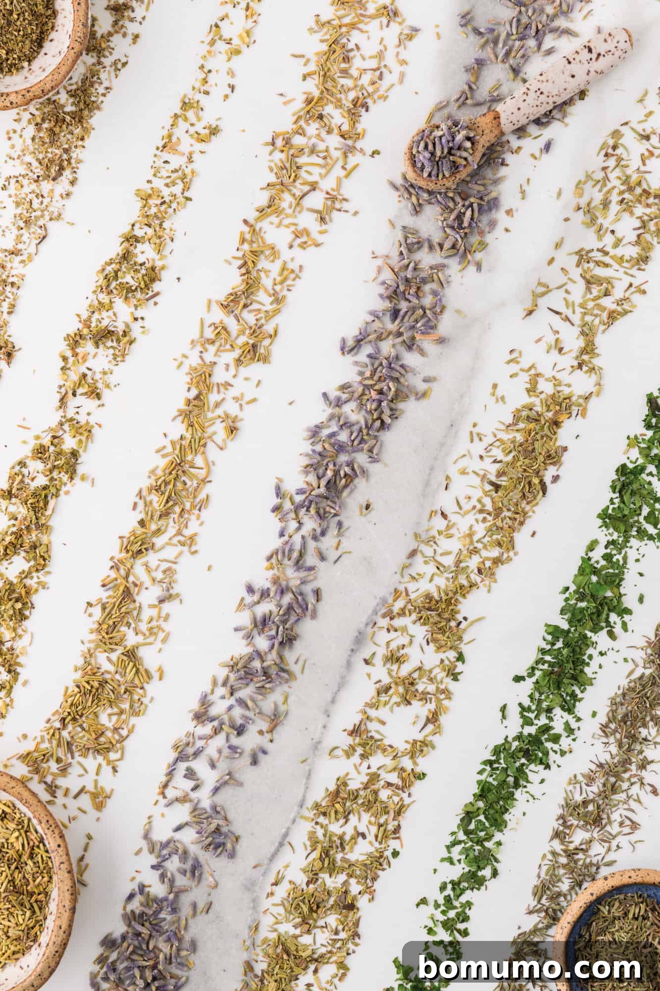 Different herbs meticulously arranged into distinct lines on a clean surface, showcasing their individual forms before blending.