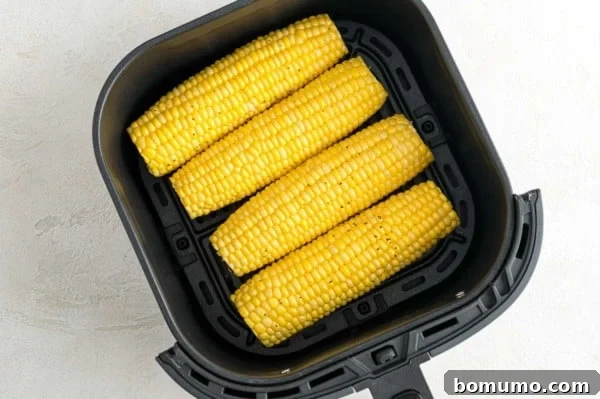 Four ears of corn cooking evenly inside the air fryer, showcasing proper arrangement.