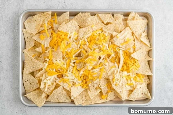 Tortilla chips topped with shredded cheese on a parchment lined baking tray.