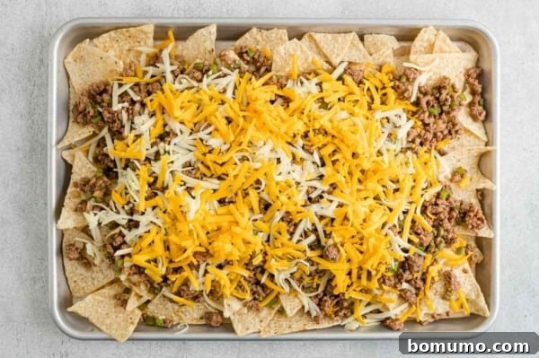 Tortilla chips topped with seasoned taco beef and shredded cheese on a parchment lined baking tray.