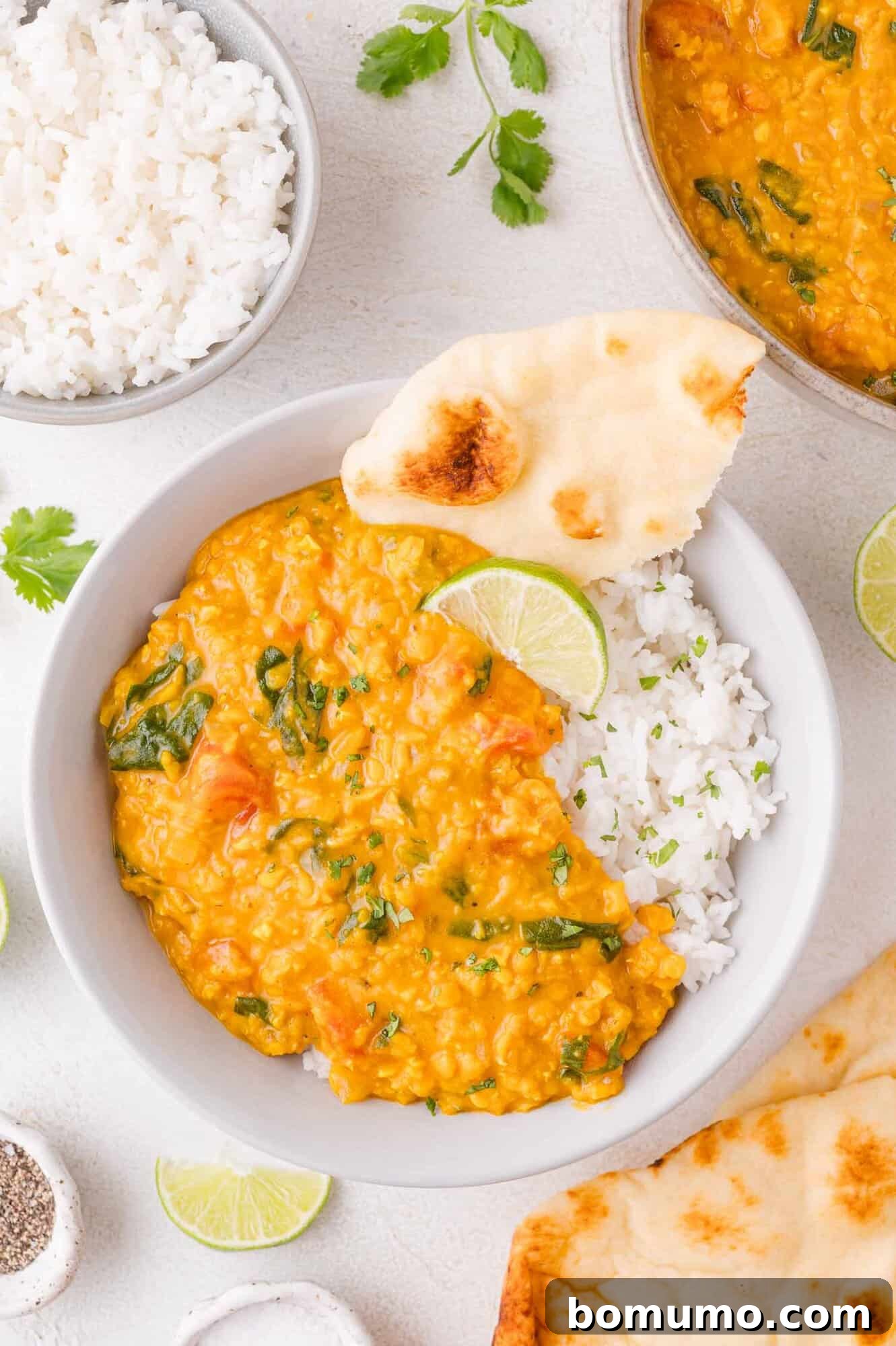Red Lentil Curry served with rice and naan