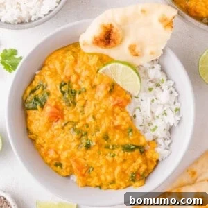 Red Lentil Curry