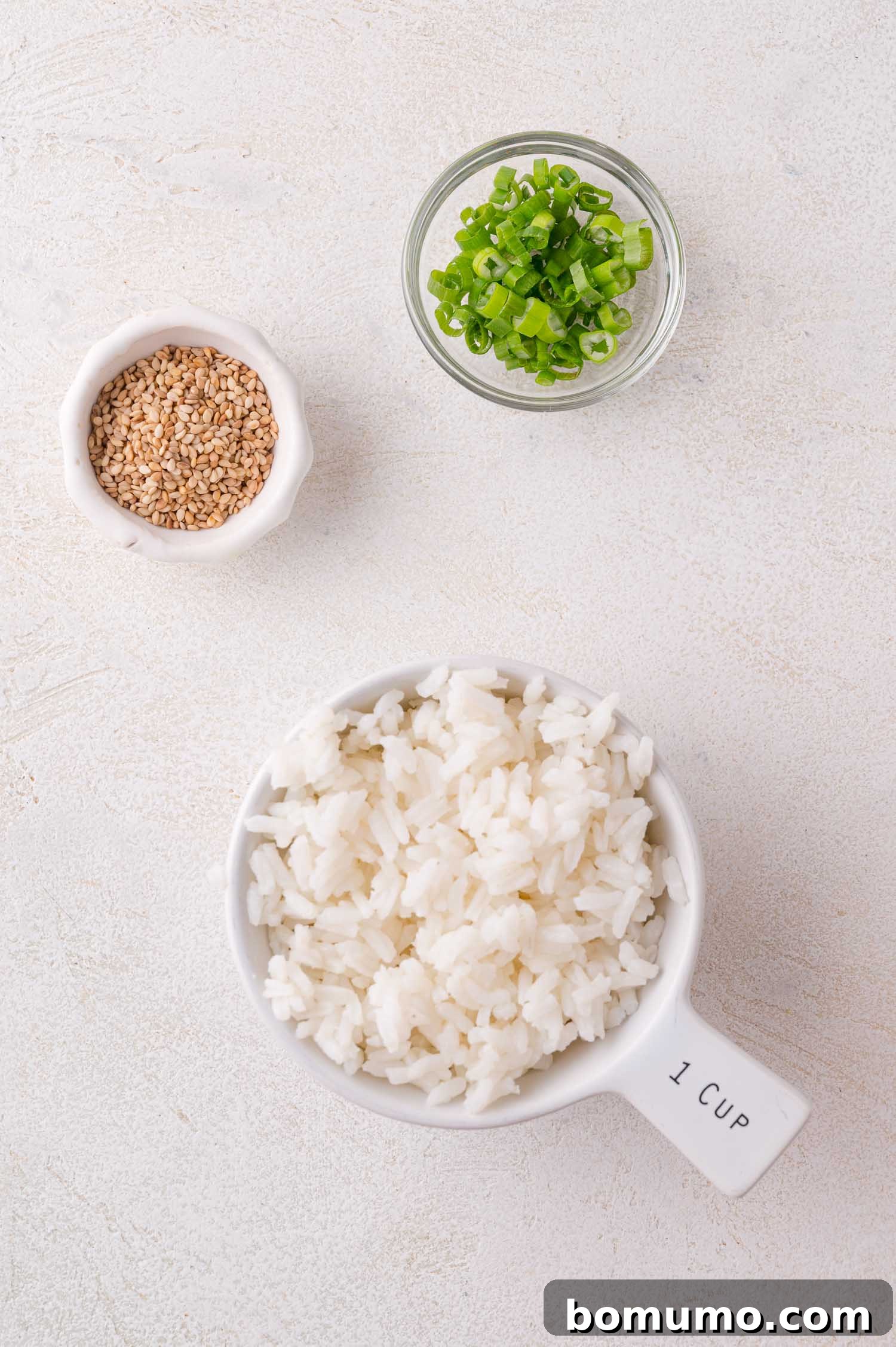 Bowl Garnishes: Cooked white rice, sliced green onions, and sesame seeds on a light surface.