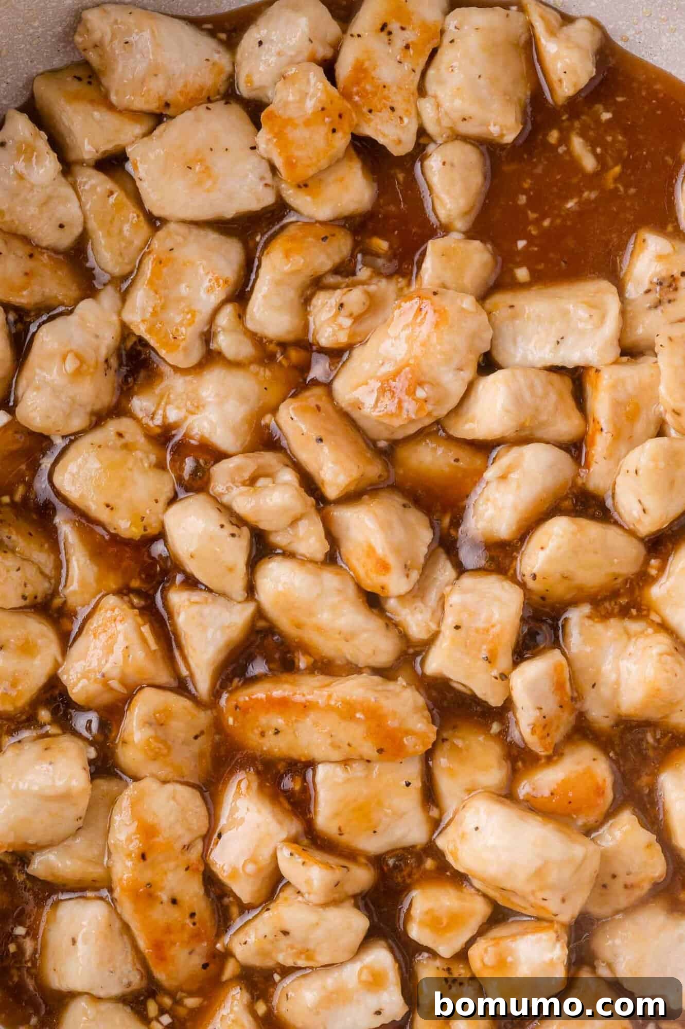 Teriyaki Chicken: Diced chicken pieces coated in brown teriyaki sauce.