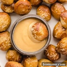 Delicious beer cheese dip served with warm, soft pretzel bites.
