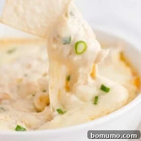 Golden, crispy wonton triangle being dipped into a bowl of creamy crab and cheese dip.