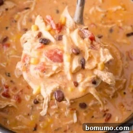 Chicken Enchilada Soup