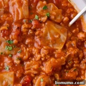 Cabbage Roll Soup