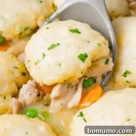 Chicken Dumpling Soup