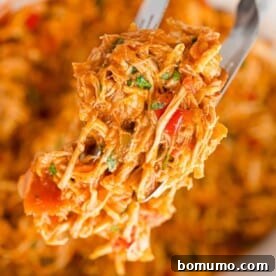 Crockpot Salsa Chicken