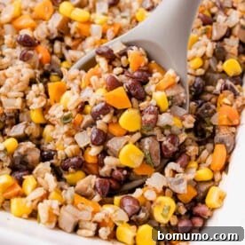 Vegan Casserole with Barley and Vegetables