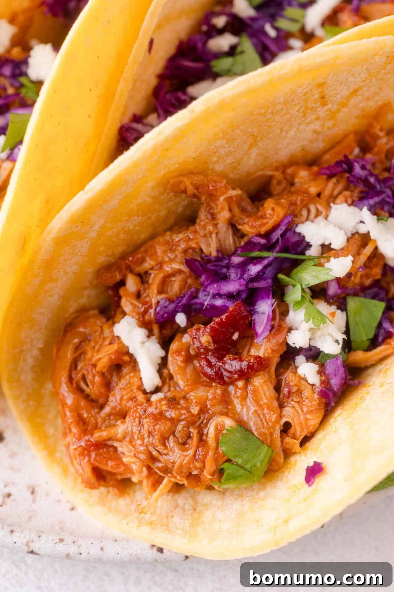 Taco close-up