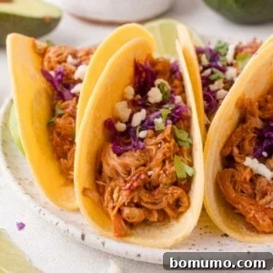 Chipotle Chicken Tacos