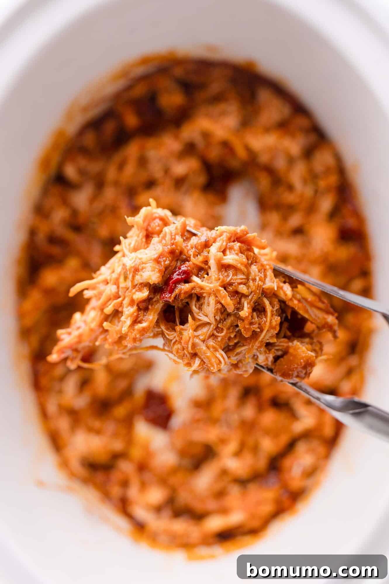 Shredded chicken