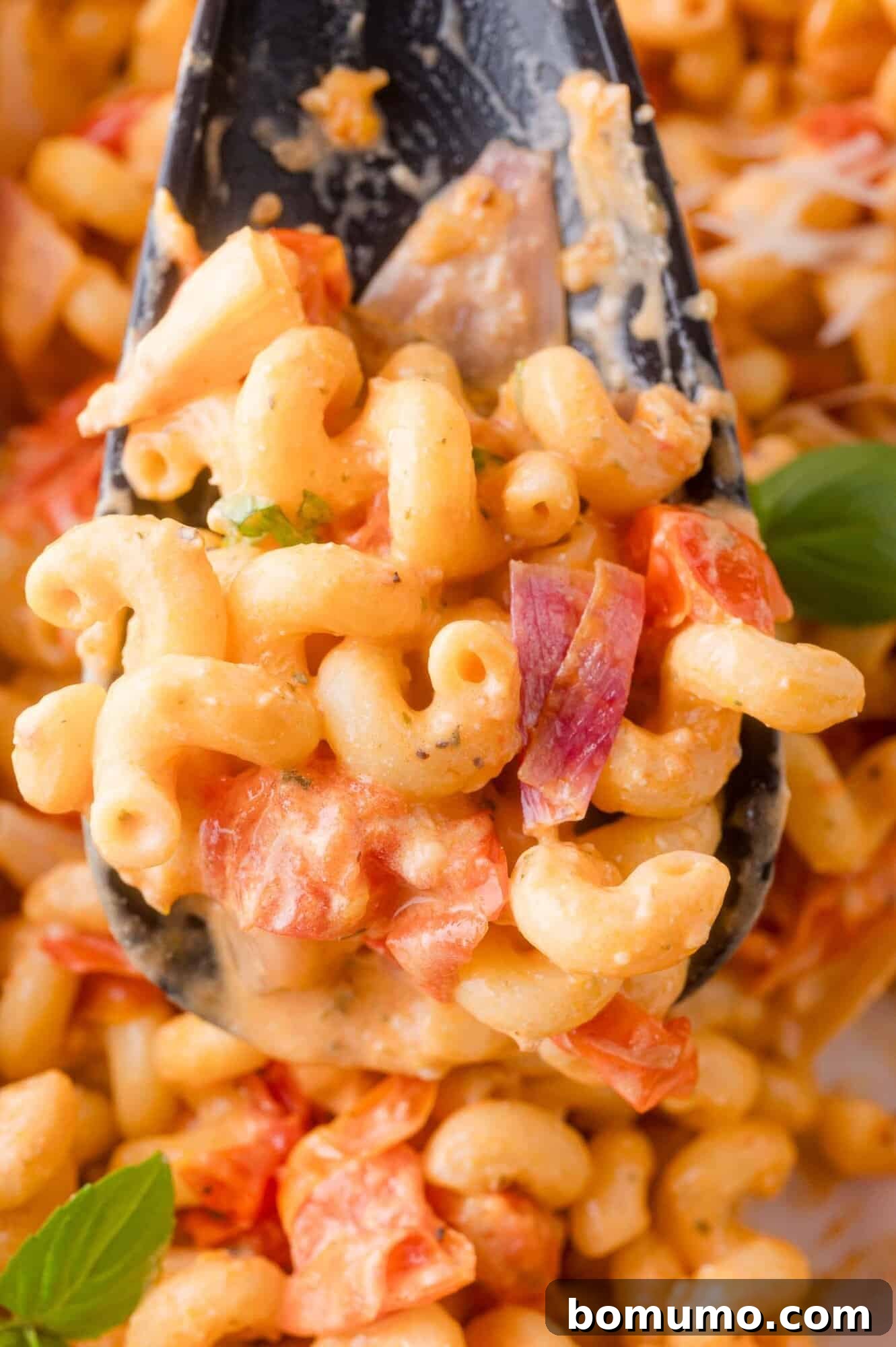 Creamy Boursin pasta with diced tomatoes and herbs