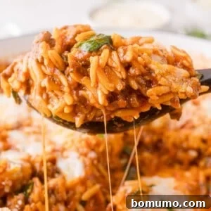 A close-up of a spoonful of cheesy orzo pasta mixed with ground meat, tomato sauce, and spinach, with melted cheese stretching from the spoon.