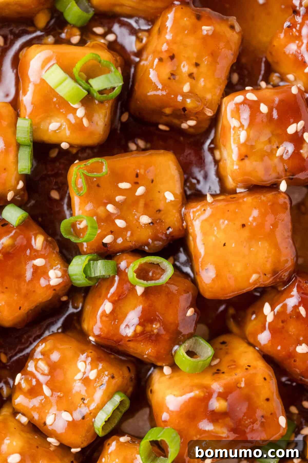 Close-up of glazed tofu cubes garnished with sliced green onions and sesame seeds, coated in a thick brown sauce.