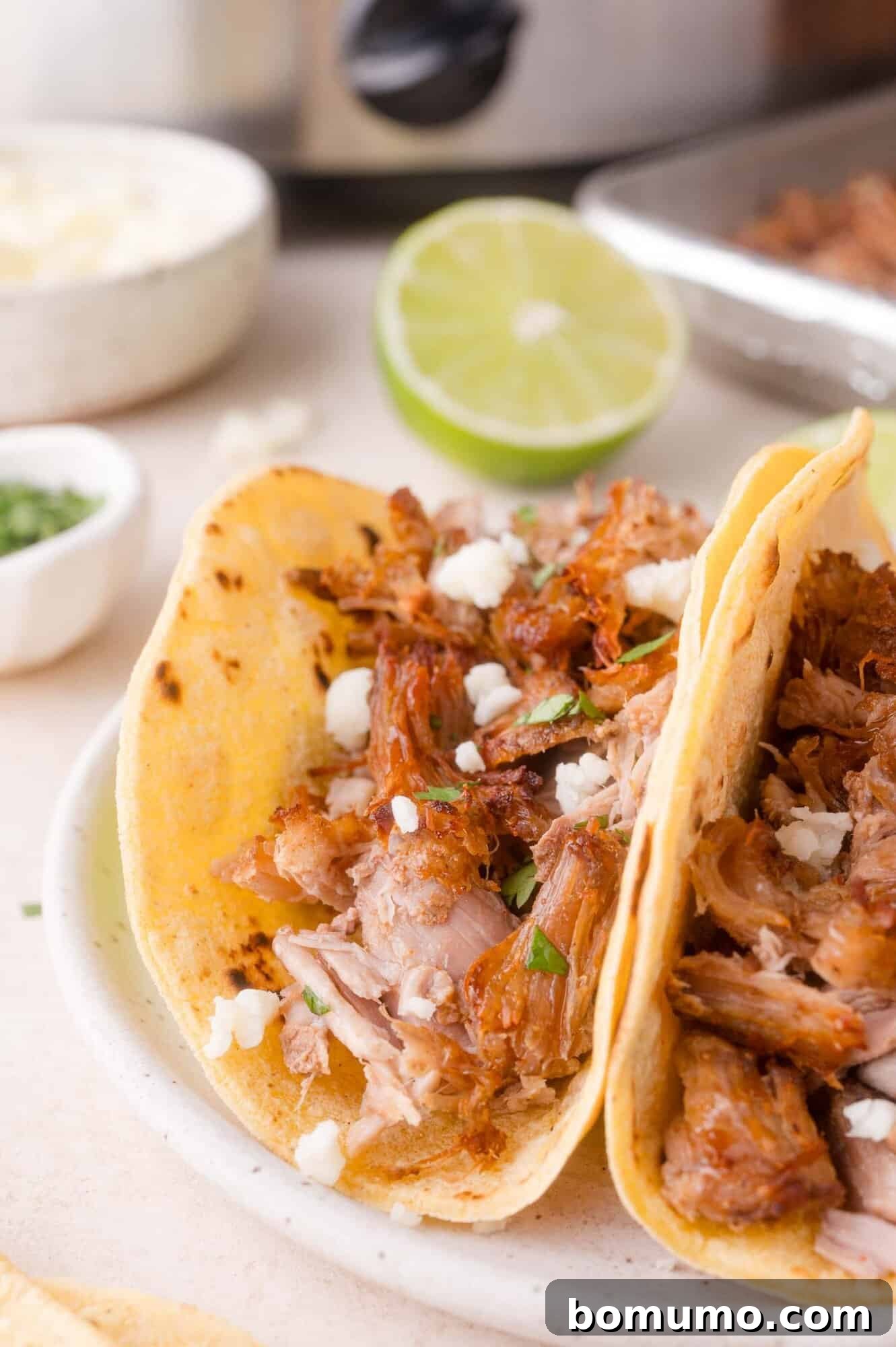 Two corn tortillas filled with shredded pork carnitas, topped with crumbled cheese and herbs, served on a white plate with a lime and garnish in the background.