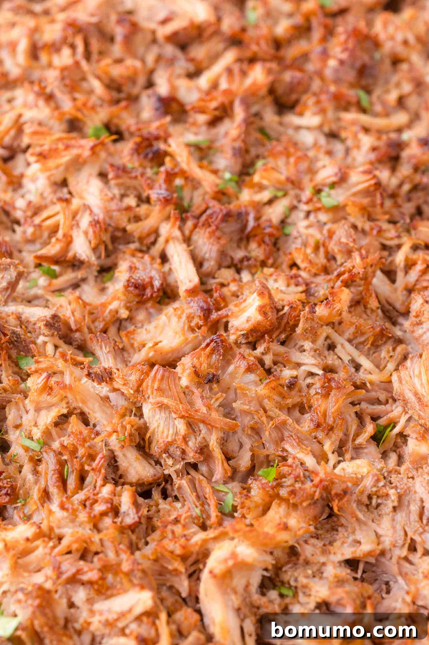 Close-up of shredded, cooked pork carnitas with crispy browned edges and small pieces of chopped herbs.