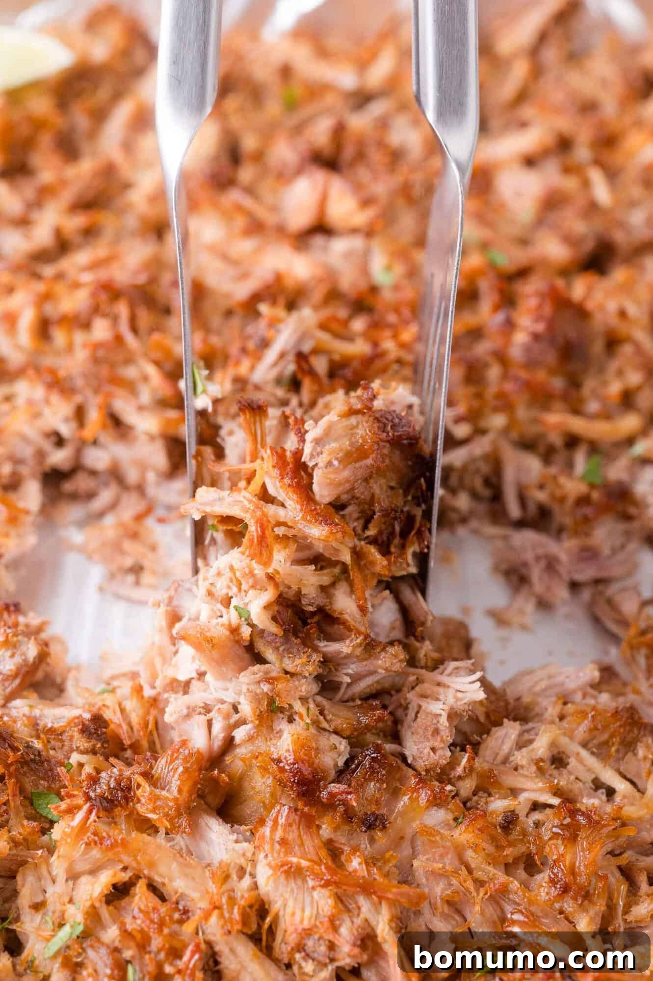 Two forks shredding cooked, crispy pulled pork on a white surface.