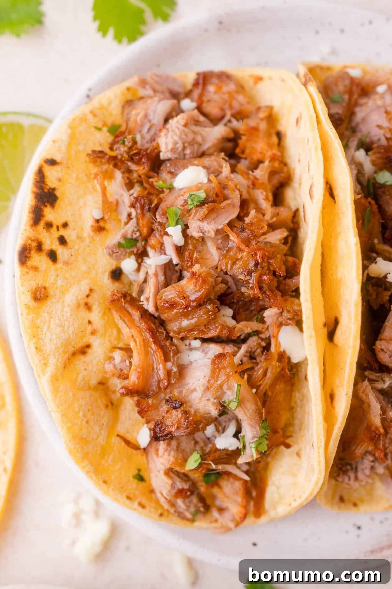 A close-up of a taco filled with shredded, seasoned carnitas, garnished with chopped herbs and cheese, served on a lightly toasted corn tortilla.