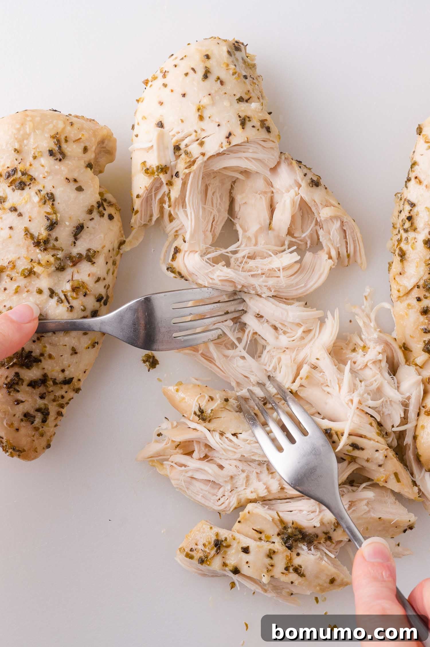 Two forks skillfully shredding perfectly cooked, seasoned chicken breasts on a pristine white surface, demonstrating the tender texture.