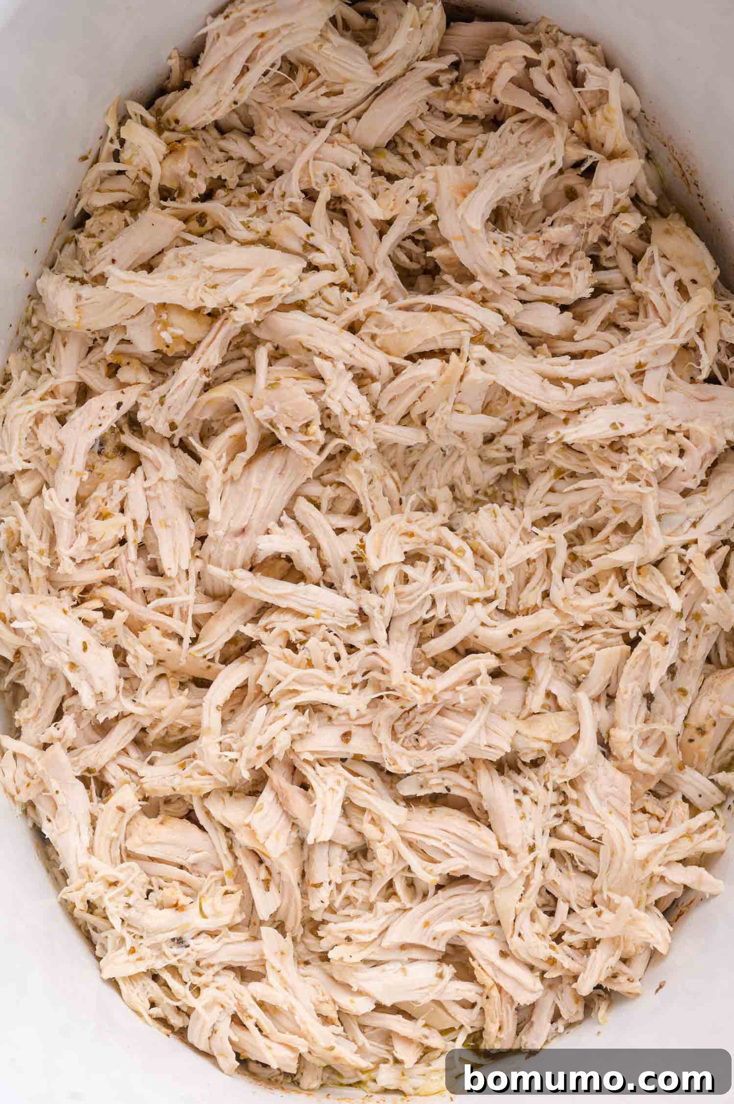 Shredded cooked chicken breast, spread out invitingly in a white dish, showcasing its perfect texture and readiness for serving.