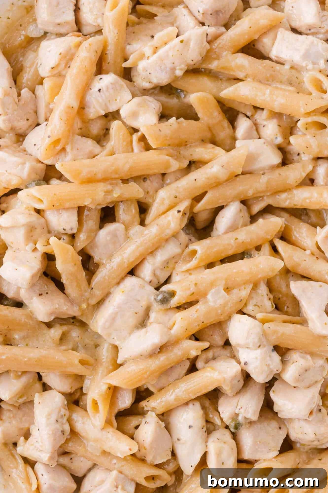 Close-up of cooked penne pasta mixed with diced chicken in a creamy sauce.