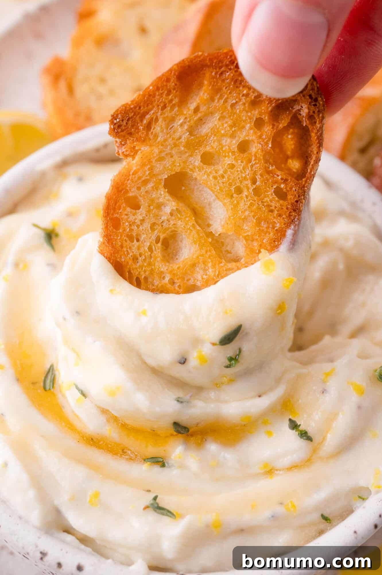 A hand dips a toasted bread slice into a bowl of creamy whipped ricotta, garnished with herbs and a drizzle of oil.