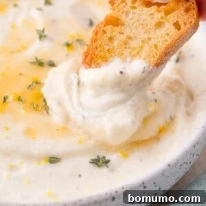 A piece of toasted bread is being dipped into a bowl of creamy whipped ricotta garnished with herbs and lemon zest.