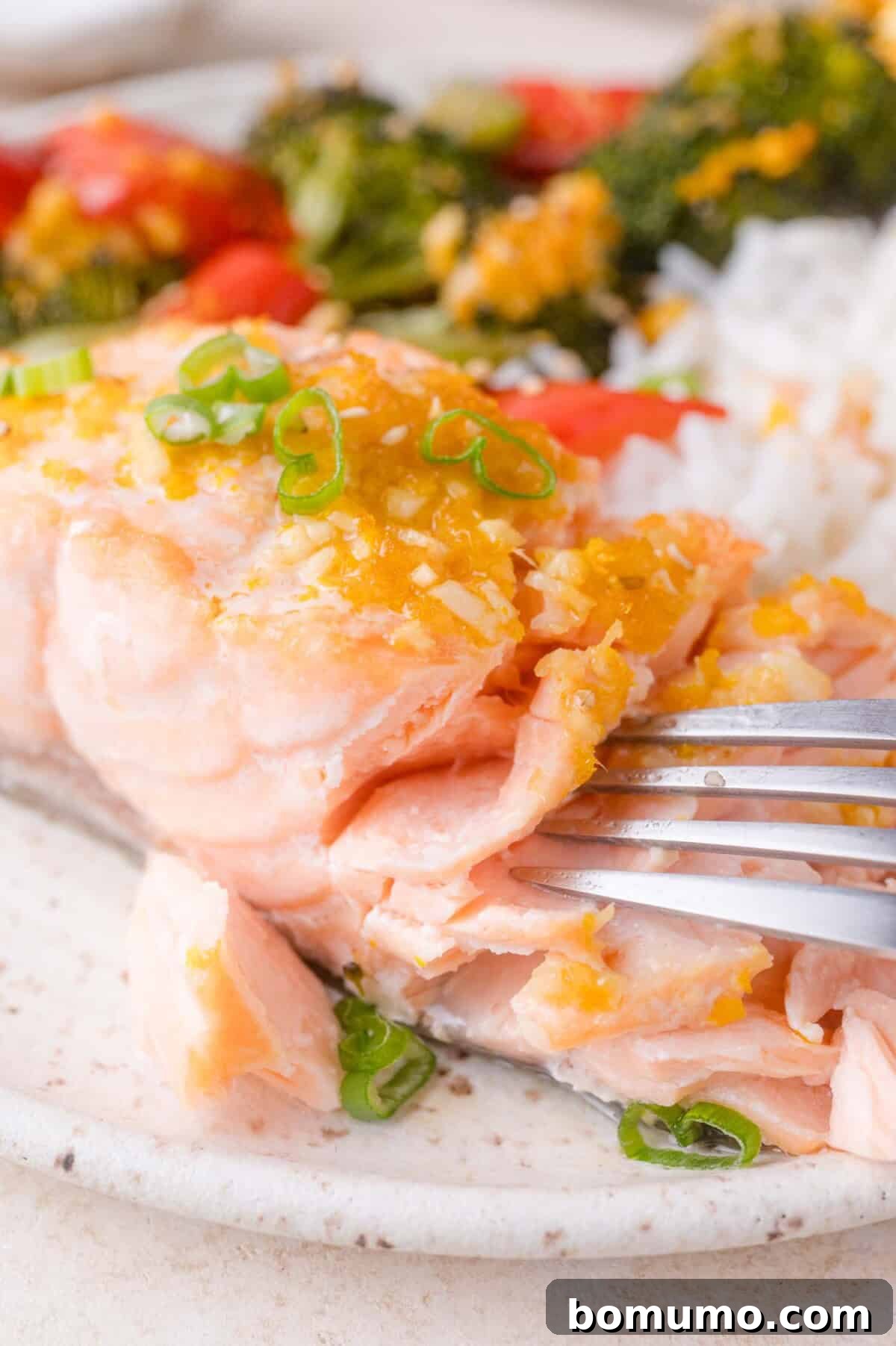 A close-up of a cooked salmon fillet topped with sauce and chopped green onions, served with rice and roasted vegetables on a plate.
