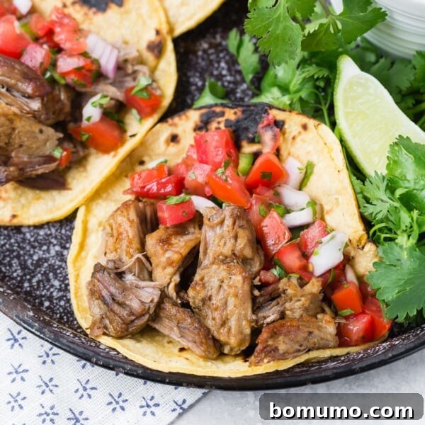 Carnitas on a corn tortilla with pico de gallo.