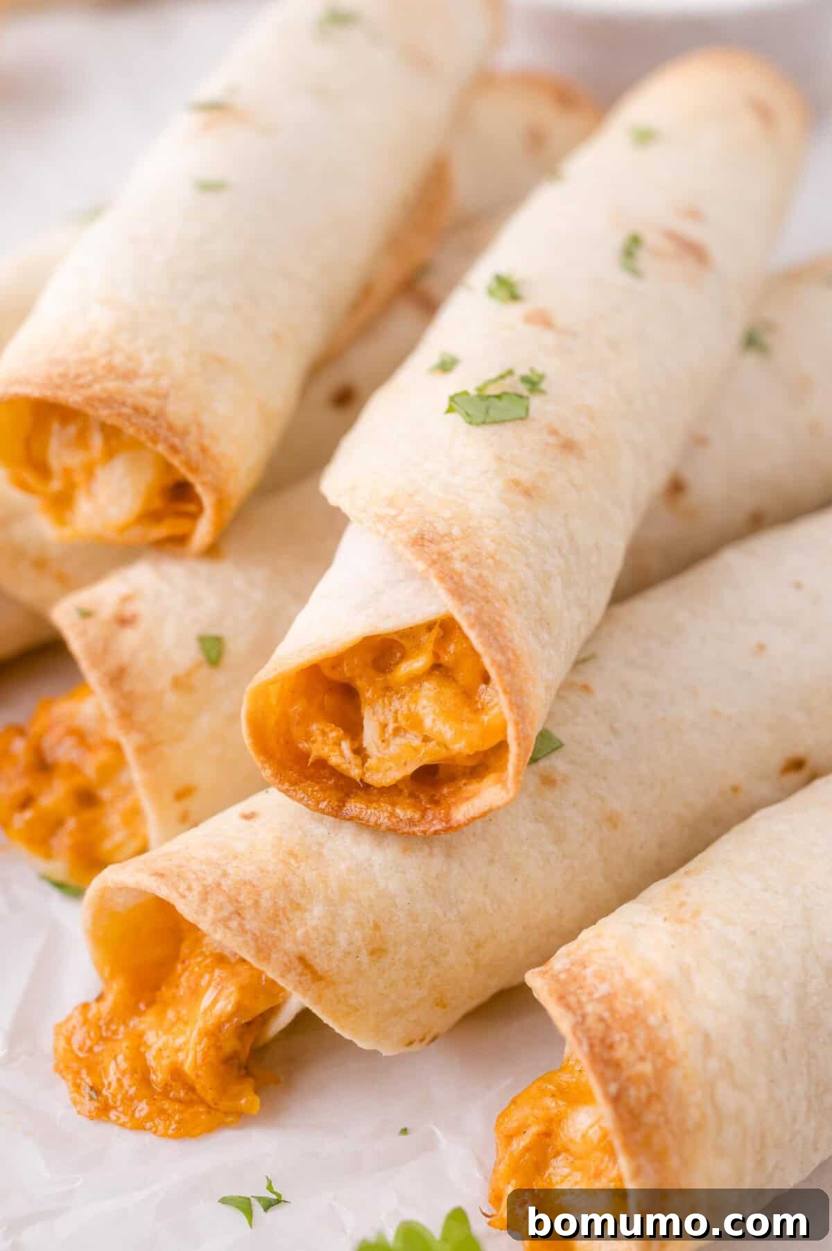 Five baked taquitos with melted cheese filling are arranged on parchment paper and garnished with chopped cilantro.