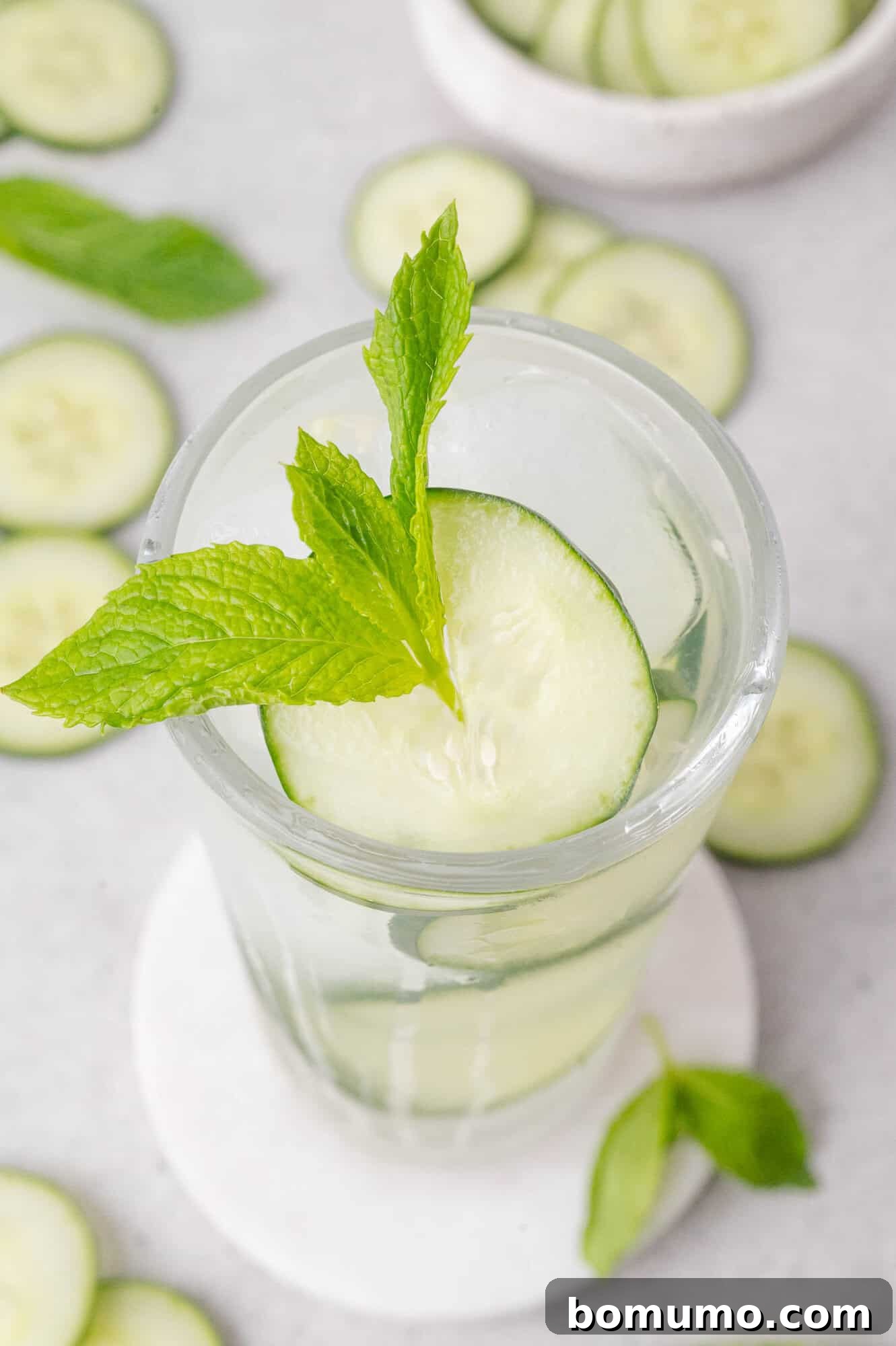 A glass of water with ice, garnished with a cucumber slice and a fresh mint sprig, sits on a white coaster with cucumber slices and mint leaves scattered around.